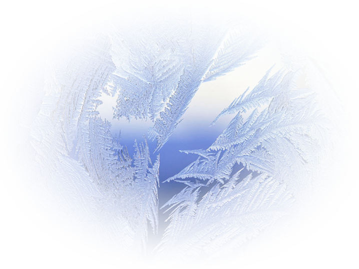 TUBES PNG FONDS HIVER