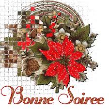 Bonne soirée