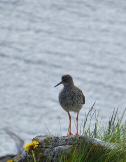 22 juin, Ísafjörður