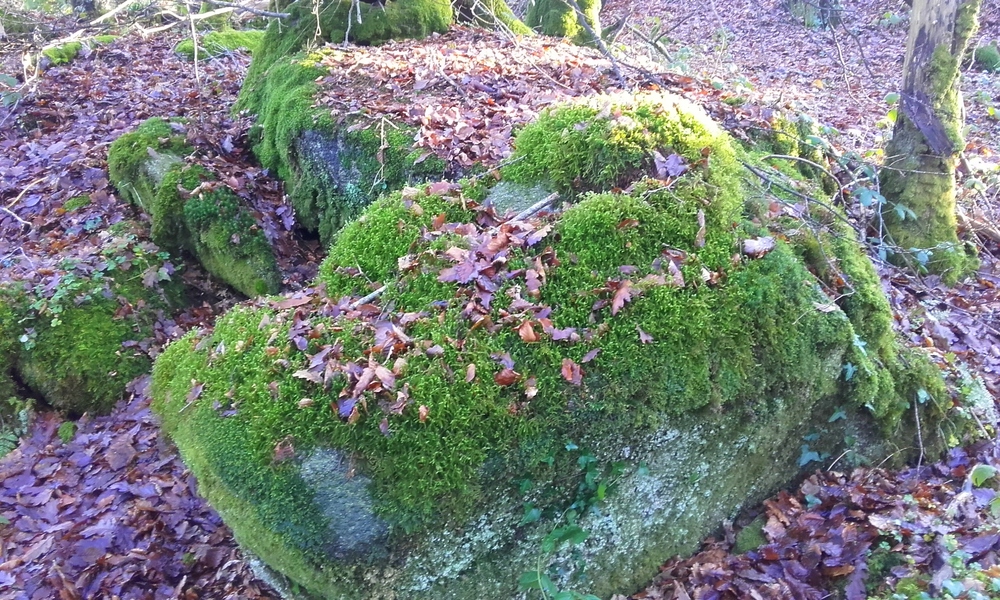   beaux cailloux  Bretons 