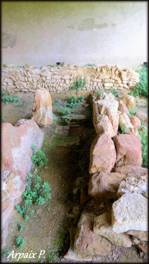 Montferrand Lauragais11320 partie 1; Site archéologique de Peyre Clouque Saint-Pierre-d'Alzonne,