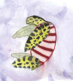 Lizie et la carapace multicolore suite