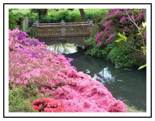 Parc  floral de la Beaujoire a Nantes