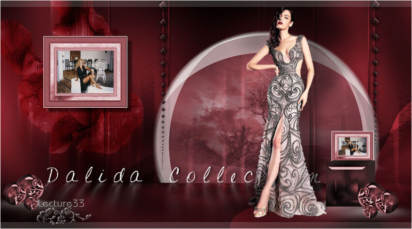 DALIDA COLLECTION