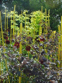 Chaumont et son festival des jardins, été 2009