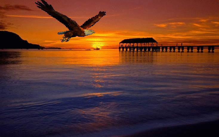 Pin By Slađana Racic On Gif Fotografije Gifs Photography Sunset Painting Photography