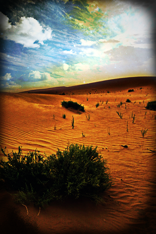 Majestueux désert