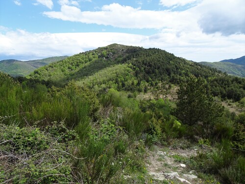 * SAINT-LAURENT-DE-CERDANS le Mont Capell