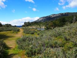 Tierra del Fuego : le bout du monde 