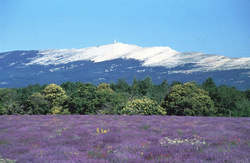  Le Ventoux...!!!