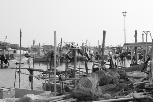 Sud du delta de Pô (port de GORO )