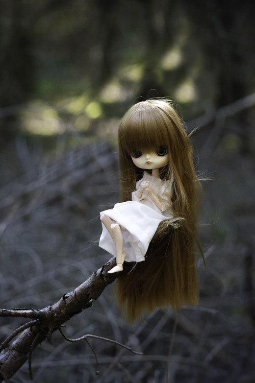 Ballade en forêt avec Kotori 