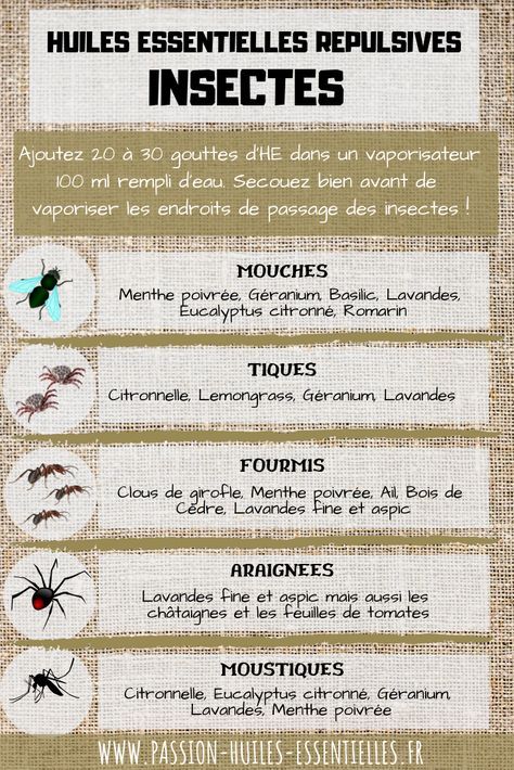 Peut être une image de texte qui dit ’HUILES ESSENTIELLES REPULSIVES INSECTES Ajoutez 20 à 30 gouttes d'HE dans un vaporisateur 100 ml rempli d’eau. Secouez bien avant de vaporiser les endroits de passage des insectes MOUCHES Menthe Eus Géranium Basilic, Lavandes, citronné, Romarin TIQUES Citronnelle. Lemongrass, Géranium Lavandes FOURMIS Clous de girofle. Menthe poivrée. Ail Bois de Cedre, Lavandes Hine et aspic ARAIGNEES Lavandes fine et aspic mais aussi les châtaignes et es feuilles de tomates MOUSTIQUES Citronnelle, Eucalyptus citronné, Géranium Lavandes. Menthe poivrèe ESSENTIELLES FR’