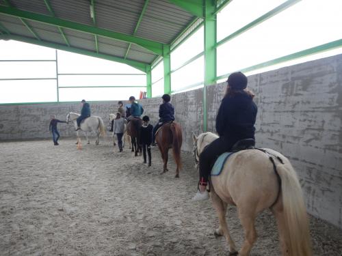 journée au poney club