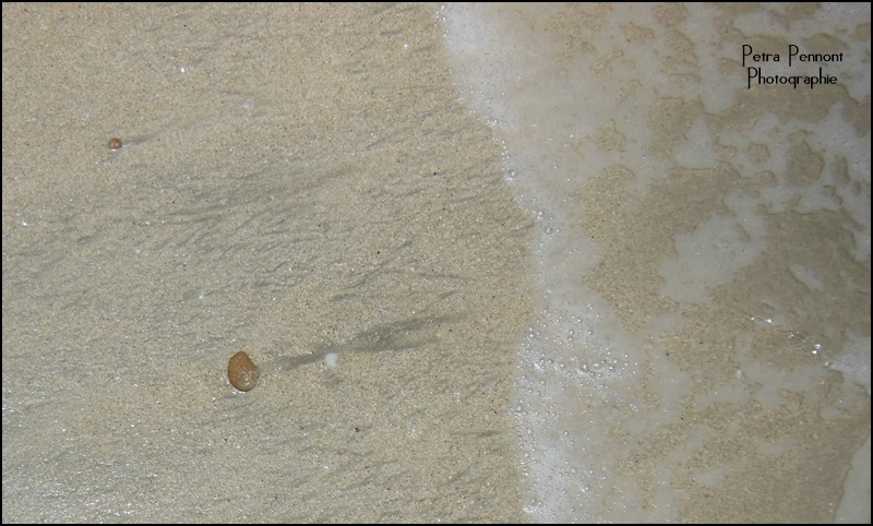 Martinique, plage de Trinité