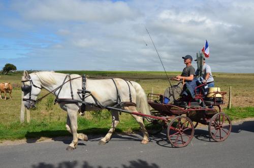 15 Juillet - Témoignage - La seconde 1/2 étape - Quiberville => Veules