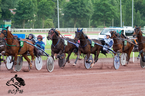 PRIX INDY DE VIVE