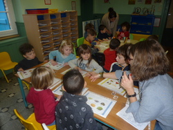 Le cycle 1 fête le goût !