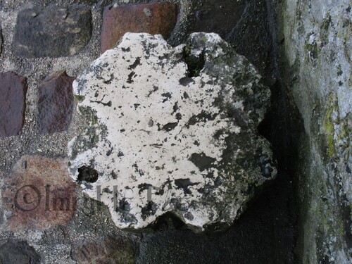 Bloc de pierre avec une légère découpe à la forme d'un trèfle à quatre feuille
