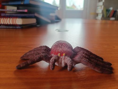 les araignées