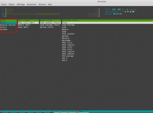 Utilisation du moniteur système HTOP