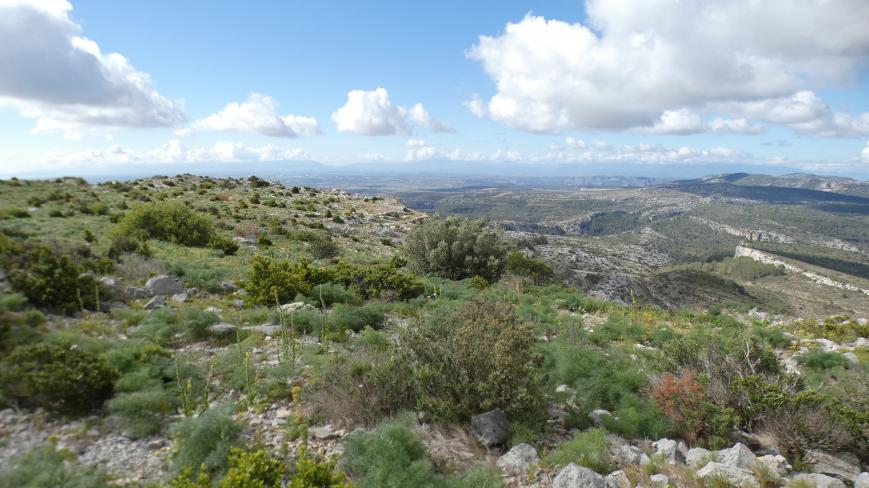 Peut être une image de horizon et montagne