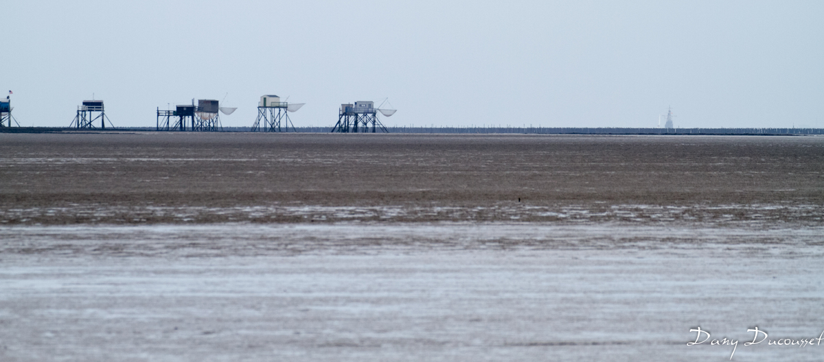 Port-des-Barques et Ile Madame (2)