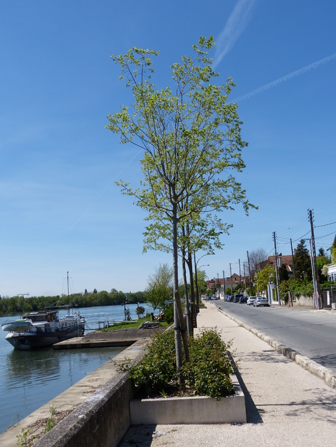 Randonnée sur les bords de Seine (Val de Marne et Essonne) - 7 mai 2016