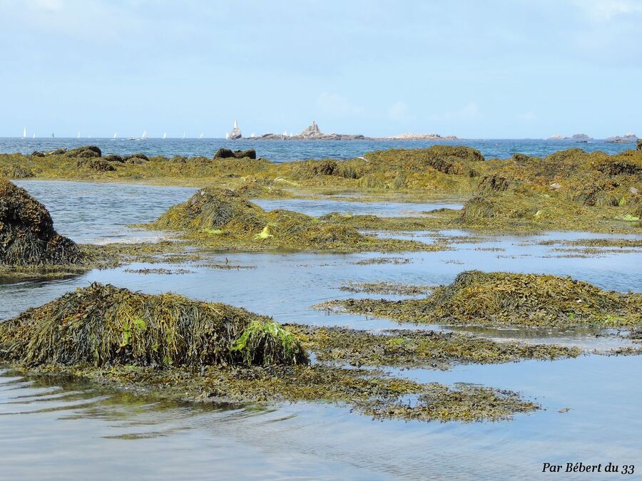 Portsall - Finistère