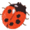 coccinelle2.gif