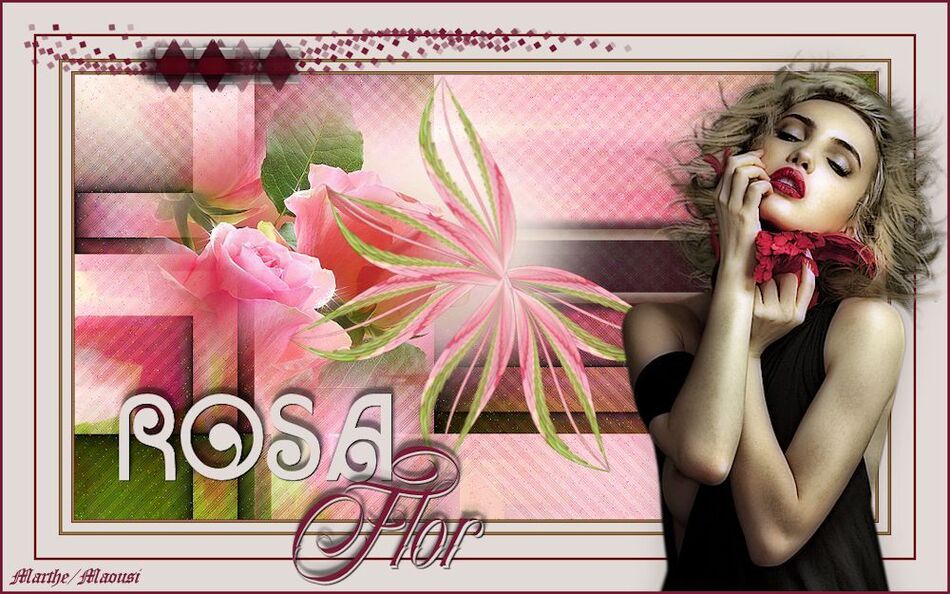 Versions Rosa Flor