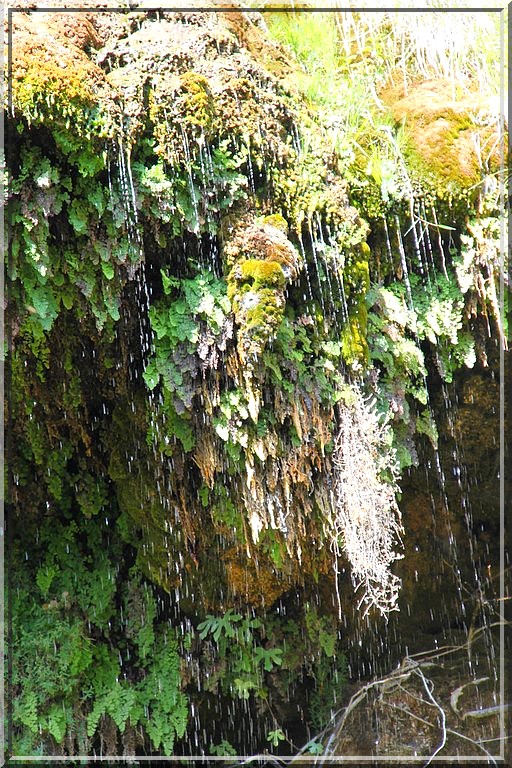 1020 - Villecroze-les-Grottes dans le Var (83)