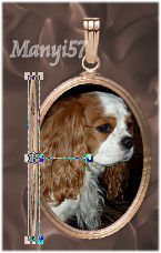 Animációs Medal