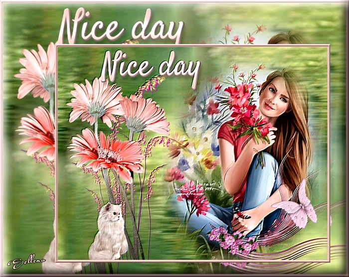 **Nice Day**