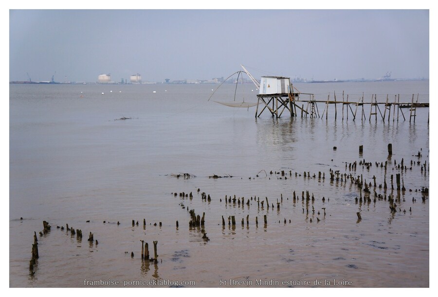 L'estuaire de la Loire 