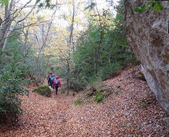 vers les baumes de la Pesade