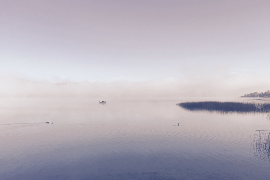 Aquarelles du lac, petit matin