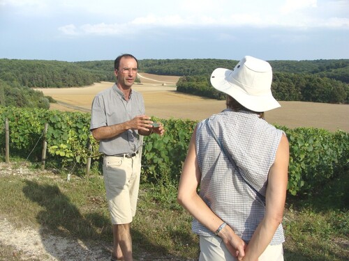 De la vigne au vin avec Sylvain Bouhélier...