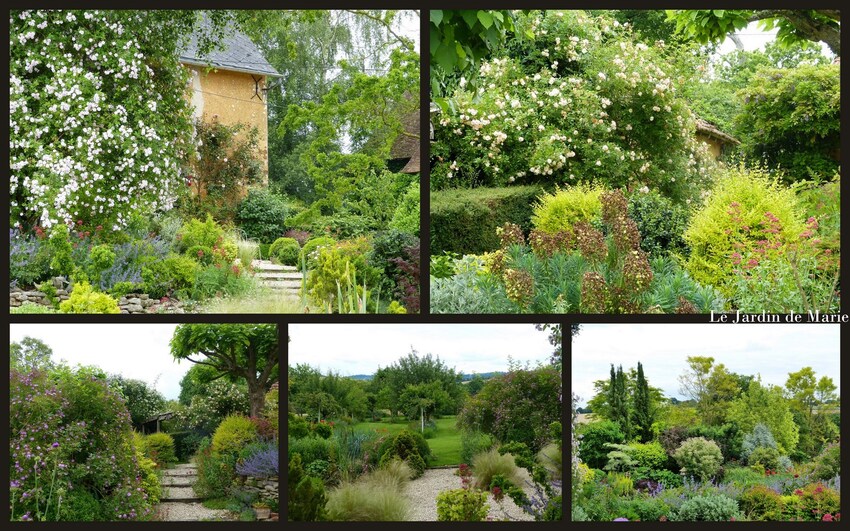 Le jardin de Marie