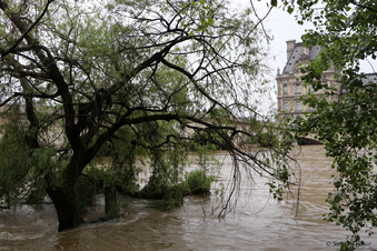 Crue juin 2016 Paris