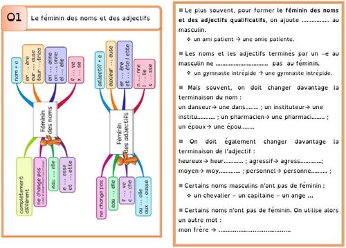 Leçon O1 Le féminin des noms et des adjectifs DYS