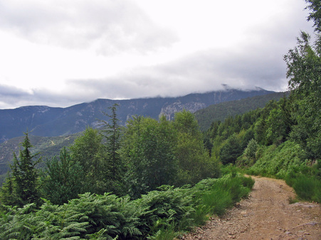Des merveilles au pays d'Alysse - Le Tour du Coronat - 4eme jour Nohèdes (995 m) - Refuge de Callau (1.540 m) 15 kms.