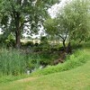 LAPENCHE "Le jardin sous le ciel" notre visite du 12 juin 2017 photos mcmg82