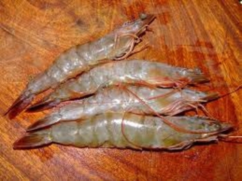 gambas