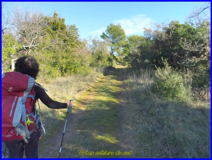 Le Castrum de Rougiers