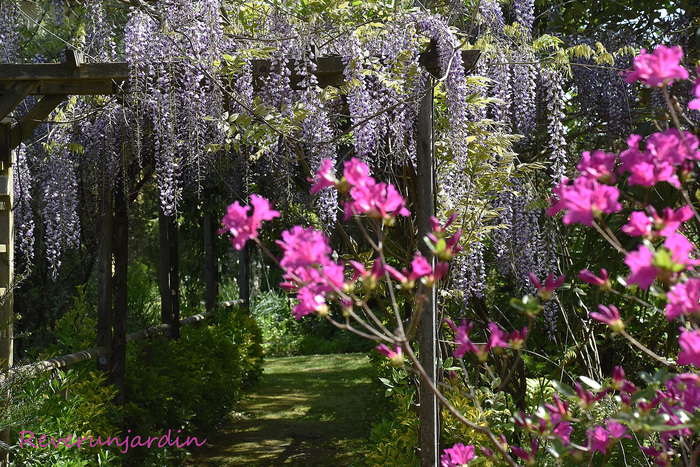 Retour au jardin Lalande