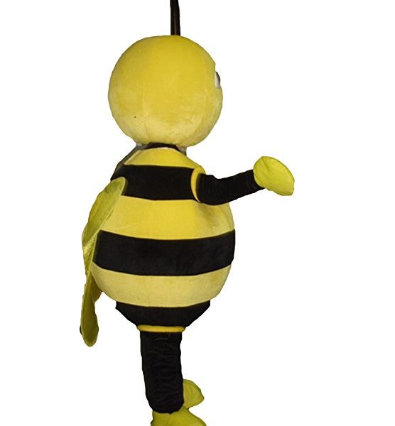 Bumble Bee Fancy Dress - Buy Bee Costumes and Accessories At Lowest Prices