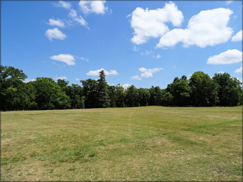 Photo du parc du Château de Cazeneuve (Préchac)