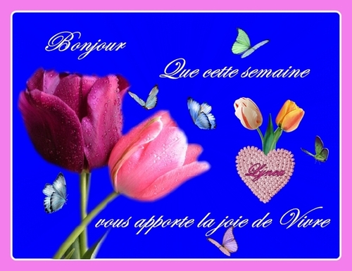 bonjour a vous ,mes amies et amis ....