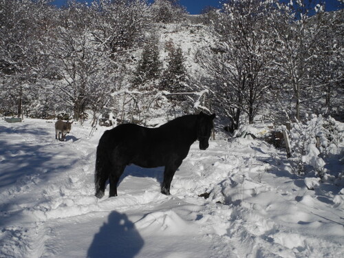 sous la neige, la plage!